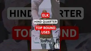 Elk - Hind Quarter - Top Round Uses #shorts #elk #hunting #deer #bear #ggt #cutrite