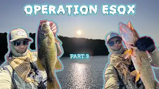 OPERATION ESOX - [PART 3] - DAY 4 - [PIKE FISHING CAMPING FIRE]
