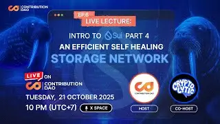 ContributionDAO presents: Lecture House EP.6 : Understanding Walrus: A Decentralized Storage Network