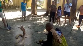 Mga Cobra naliligaw sa School | JTG Kamandag