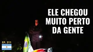 Um ANIMAL SELVAGEM SURGIU no ACAMPAMENTO de NOITE
