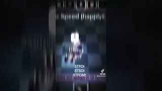 WWW, STFO, STSO, AND STFOM!