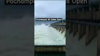 Pochampad All gates open#subscribe #ytshorts#shorts