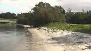 windsurfspot trintelhaven-midden op dijk lelystad enkhuizen