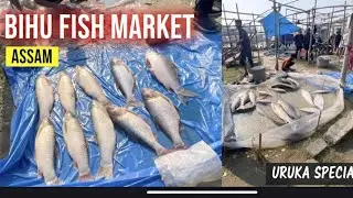 BIGGEST FISH MARKET IN ASSAM! 🐟 Magh Bihu Shopping