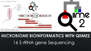 Microbiome Bioinformatics with QIIME 2 | Lecture 1| Beginner Guide to 16s rRNA gene Sequencing