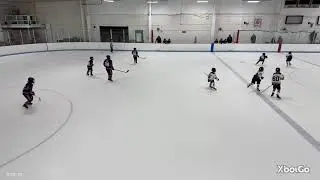 Grizzlies vs. Ice Hawks