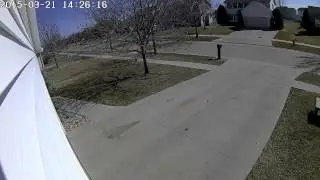 Slow Bird HD Caught on security camera