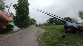 Ouverture Carnassier 2023 Jour 2 Canal, Tarn et Garonne du bord Black Bass