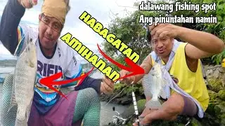 BAKIT KAYA PAYAT ANG MGA TILAPYA NGAYON SA LAGUNA LAKE ? 