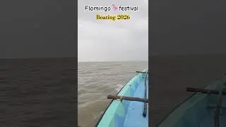 Flamingo 🦩#shorts #youtubeshorts #travel#ytshorts #love#views #explore #yt#video #viral #viralshorts
