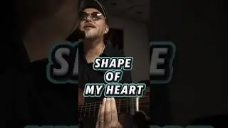 Sting - Shape of my heart (cover N'so)