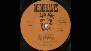 Membranes - Mr. Charisma Brain