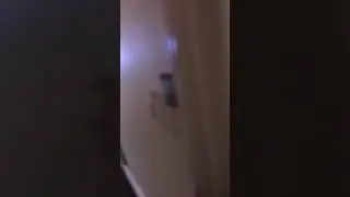 The Lexington Hotel room tour