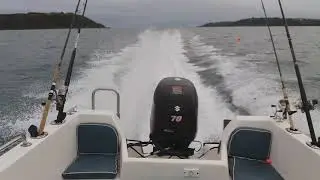 Seahog Commodore Suzuki DF70a