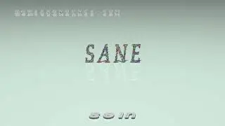sane - pronunciation + Examples in sentences and phrases