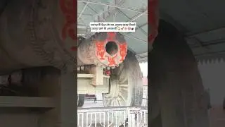 Jaigarh Fort Jaipur Facts | Biggest Canon in The World #jaipur #fortsofindia