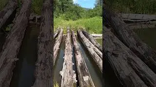 Уральская природа. По пути на Нургуш