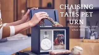 Chasing Tails Pet Urn - Remember and Honor Your Dog the Right Way