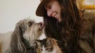 Healing Hearts: How Laurie & Her Therapy Dog Oliver Changed Lives