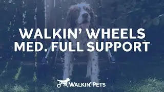 Walkin' Wheels Full Support Wheelchair For Pets - Size MEDIUM