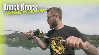 Aktiv auf Welssuche am Stillgew&auml;sser #1