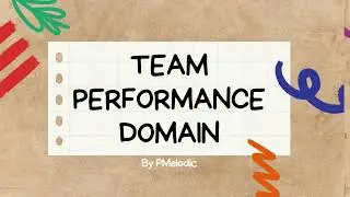 PMP | Team performance domain Rap
