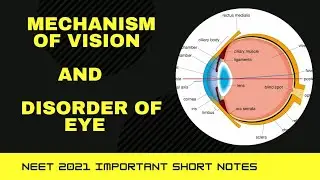 MECHANISM OF VISION|| DISORDERS OF EYE|| Neural Control & coordination ||