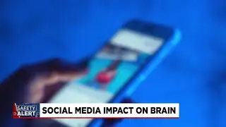 Watching short videos on social media could cause brain rot