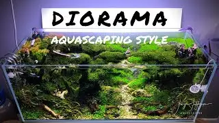 DIORAMA aquascaping style = best for IAPLC
