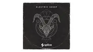 🔥 SPLICE ORIGINALS - Electric Sheep - SAMPLES & DRUM KIT - DOWNLOAD LINK [FREE]