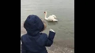 Wild Spring | Bird Watching | Exploring Nature | Local Park