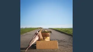 Schicksal