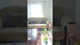 Feeding indoor plants with light