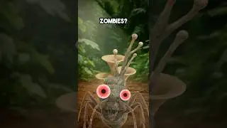 The Fungus That Turns Ants Into Zombies 😱