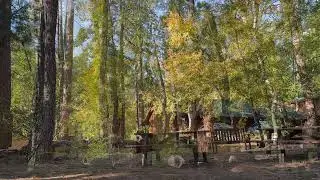 Christopher Creek Lodge