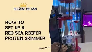 How to setup a a Red Sea reefer protein skimmer