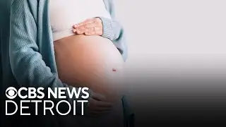 Michigan lawmakers take maternal health bills