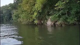 Fishing the Tennessee River