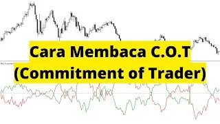 Cara Membaca C.O.T (Commitment Of Trader)