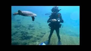 Squidman Scuba Florida Springs Dive Blue Grotto Devil's Den Ginnie Springs