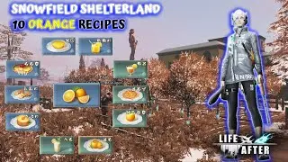 10 ORANGE RECIPES || SNOWFIELD SHELTERLAND || LIFEAFTER
