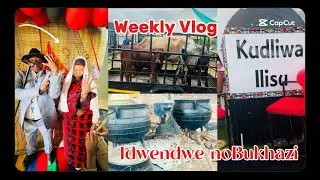 #Vlog || Traditional wedding || Ndebele wedding || South African YouTuber