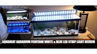 Aquaneat Aquarium Fishtank White & Blue Led Strip Light Review 20 Long Aquarium