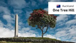 One Tree Hill Park - Auckland - New Zealand ( Nova Zel&acirc;ndia ) in 4K