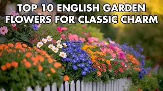 Top 10 English Garden Flowers for Classic Charm: Roses, Lupines, and Bluebells
