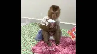 Poor Baby Jelly Loudly Reject To SARA Lip Talk Want To Take Her
