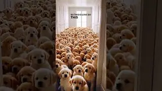 So This Is Love So This ❤️ #shorts #ai #cute #puppylovers #love #ai #ytshorts