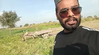 🔥اپنے کھیتوں سے ساگ! 🌿 | Pakistan Village Life Vlog---✔️: اپنے کھیتوں سے ساگ، سرسوں کا ساگ🌿🌼🌼🌼