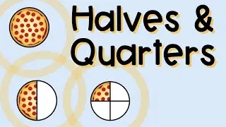 Identify Fractions -  Halves and Quarters | 3rd Grade Math Review